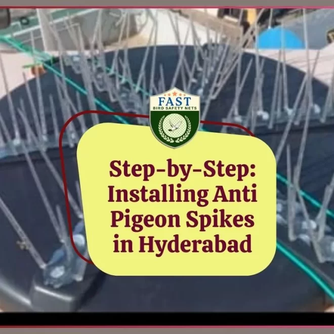 Step-by-Step Guide: Installing Anti-Pigeon Spikes in Hyderabad