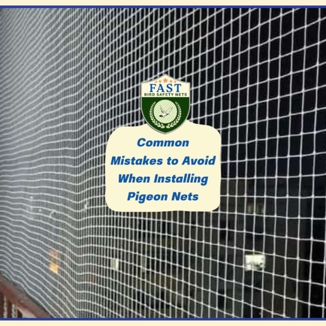 Common Mistakes to Avoid When Installing Pigeon Nets