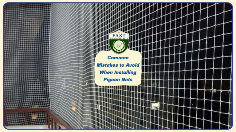 Common Mistakes to Avoid When Installing Pigeon Nets
