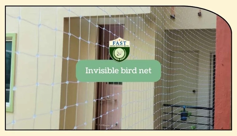 Invisible bird net