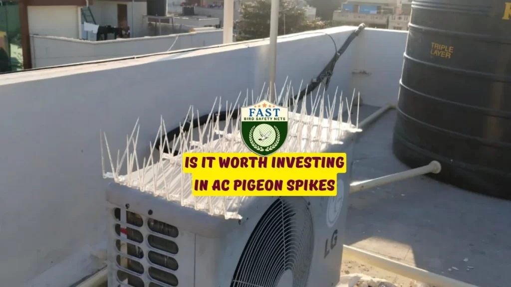 Can pigeons damage AC?