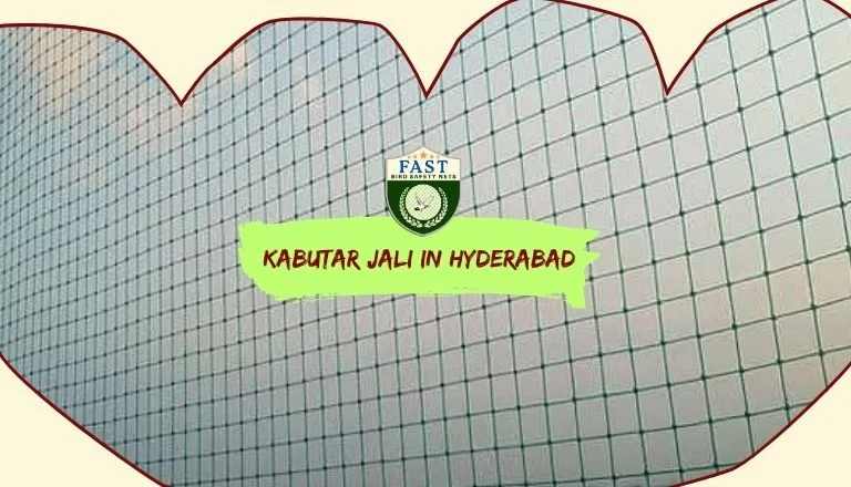 Kabutar jali in hyderabad