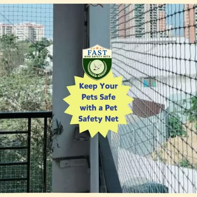 Keep Your Pets Safe with a Pet Safety Net