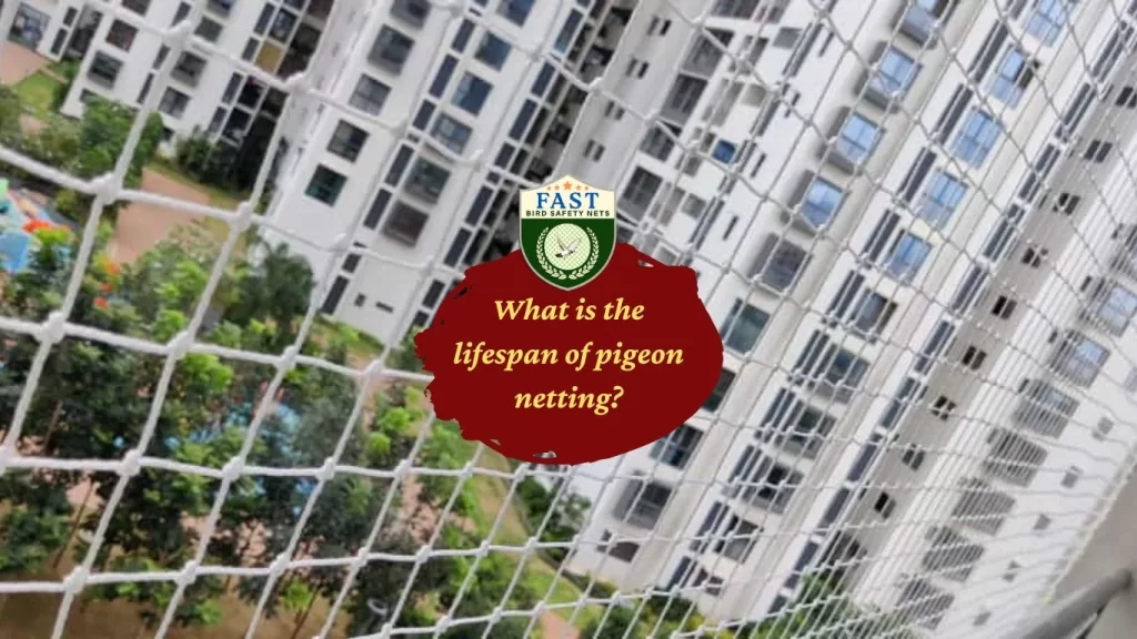 Lifespan of Pigeon Netting