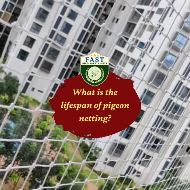 What is the lifespan of pigeon netting?