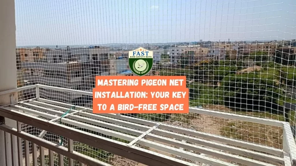 Mastering Pigeon Net Installation: Your Key to a Bird-Free Space