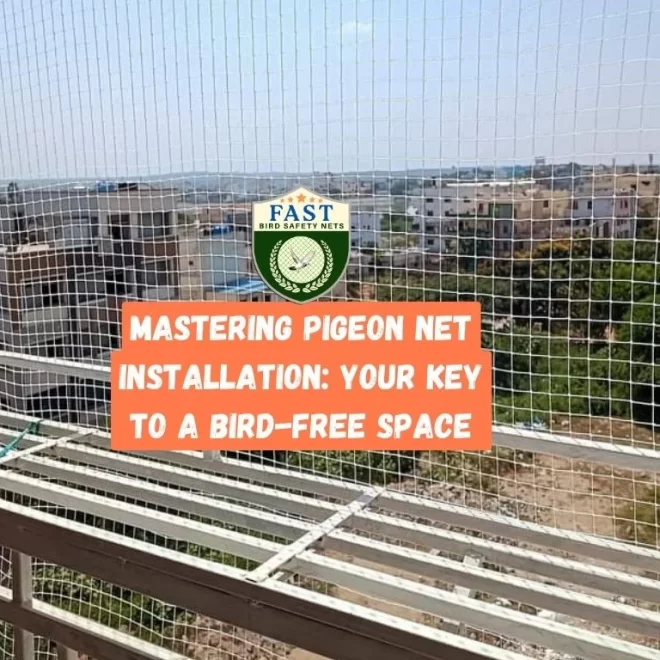 Mastering Pigeon Net Installation: Your Key to a Bird-Free Space