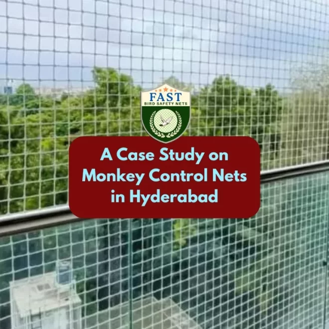 A Case Study on Monkey Control Nets in Hyderabad