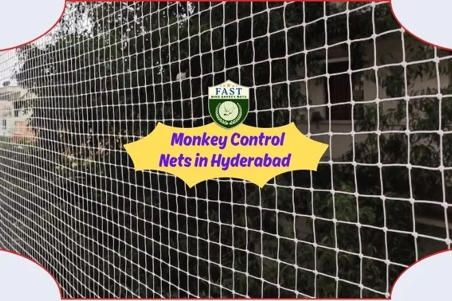 What is the price of monkey net per square feet?