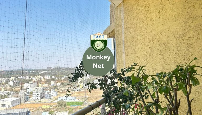 monkey net