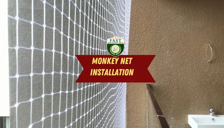 Monkey net installation