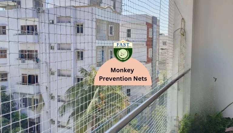 Monkey Nets