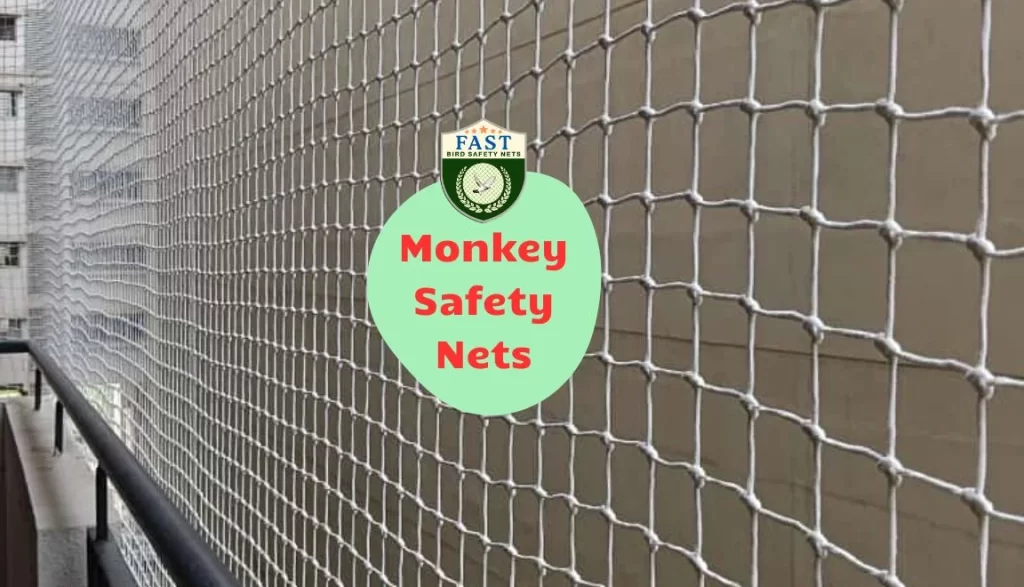 Monkey Safety Nets