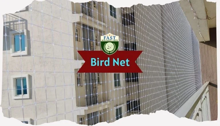 Net for Birds