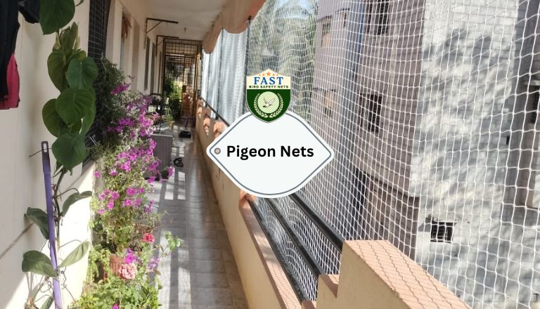 pigeon nets