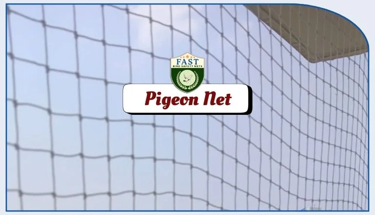 pigeon net