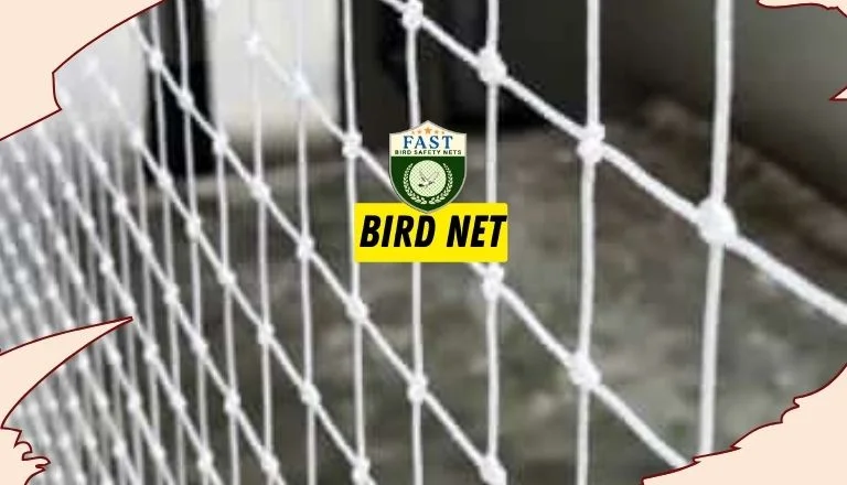 Net to keep birds away