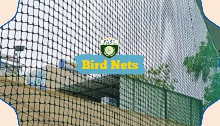 Net to Prevent Birds
