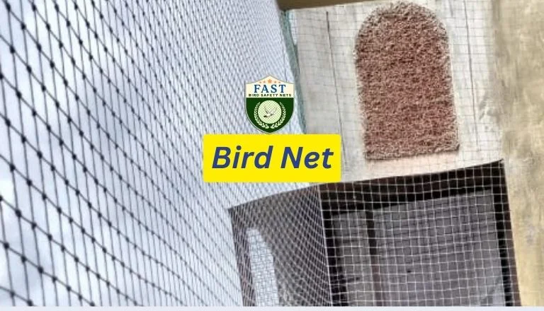 Bird net