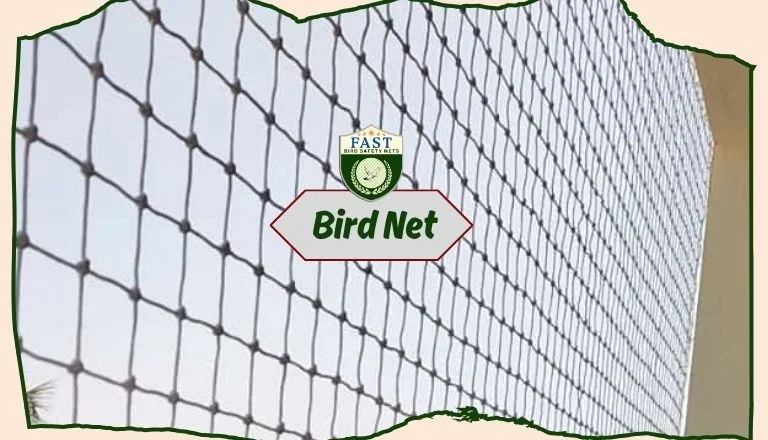 Netting for Birds