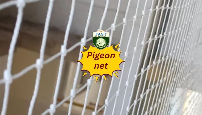 Netting for Pigeon