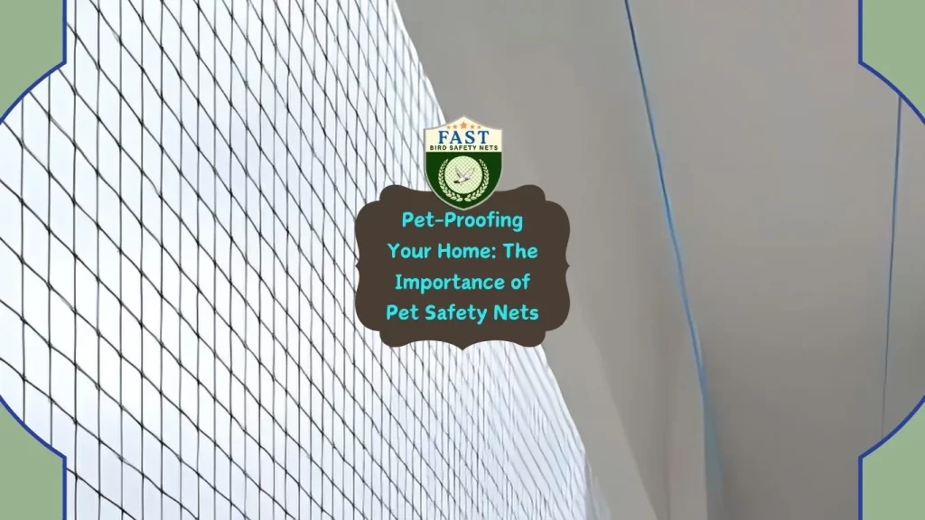 Pet Proofing your home