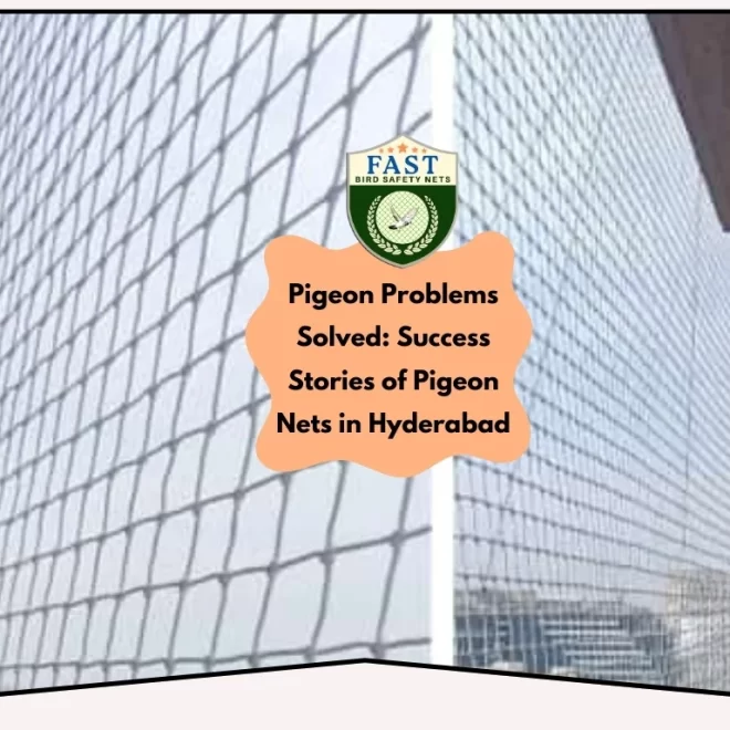 Pigeon Problems Solved: Success Stories of Pigeon Nets in Hyderabad