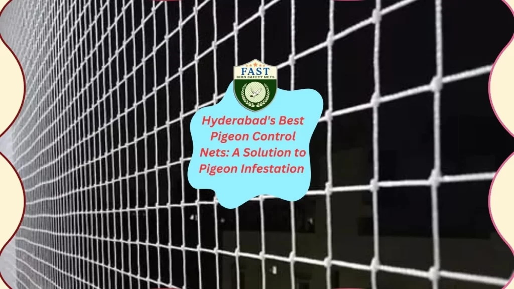 Pigeon Control Nets