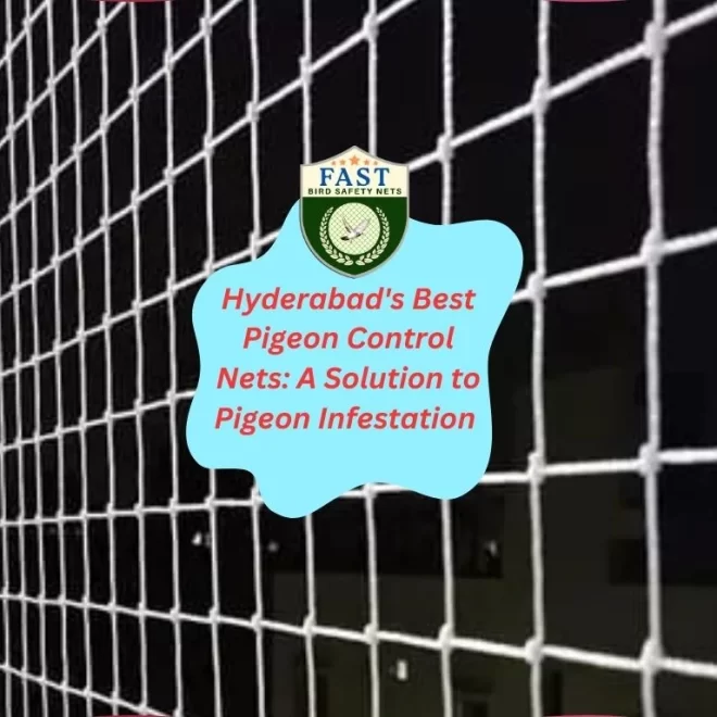 Hyderabad’s Best Pigeon Control Nets: A Solution to Pigeon Infestation