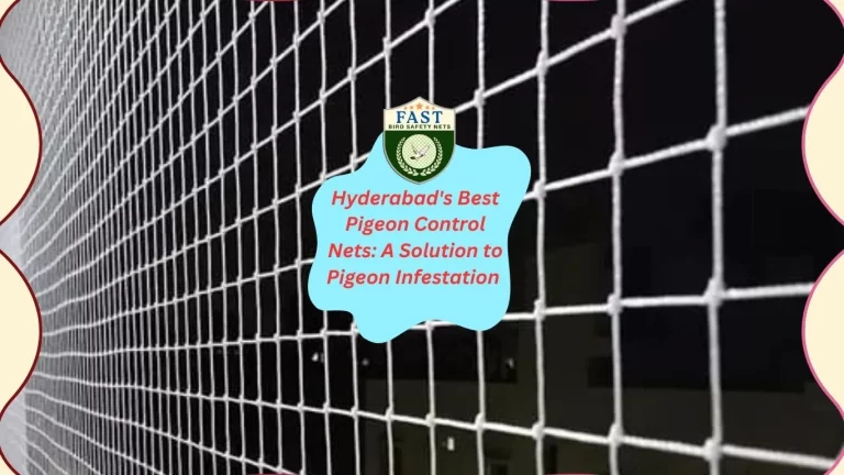 Hyderabad’s Best Pigeon Control Nets: A Solution to Pigeon Infestation
