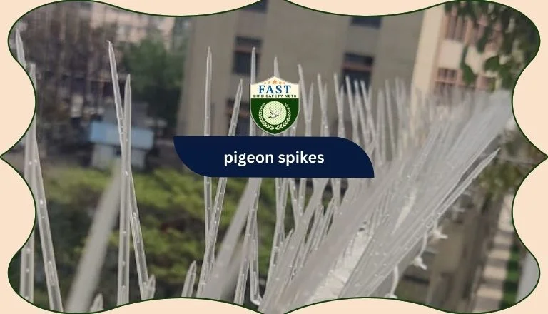 pigeon spikes