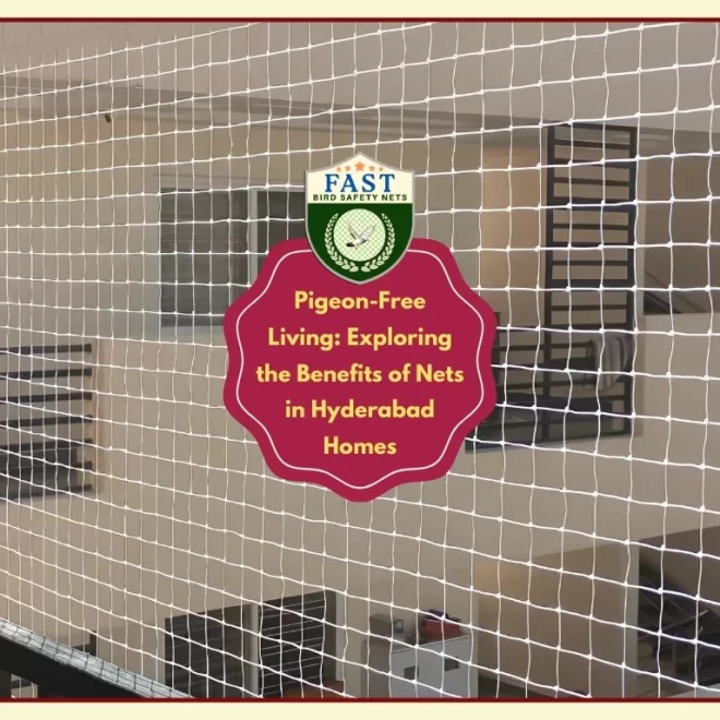 Pigeon-Free Living: Exploring the Benefits of Pigeon Nets in Hyderabad Homes