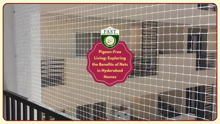 Pigeon-Free Living: Exploring the Benefits of Pigeon Nets in Hyderabad Homes