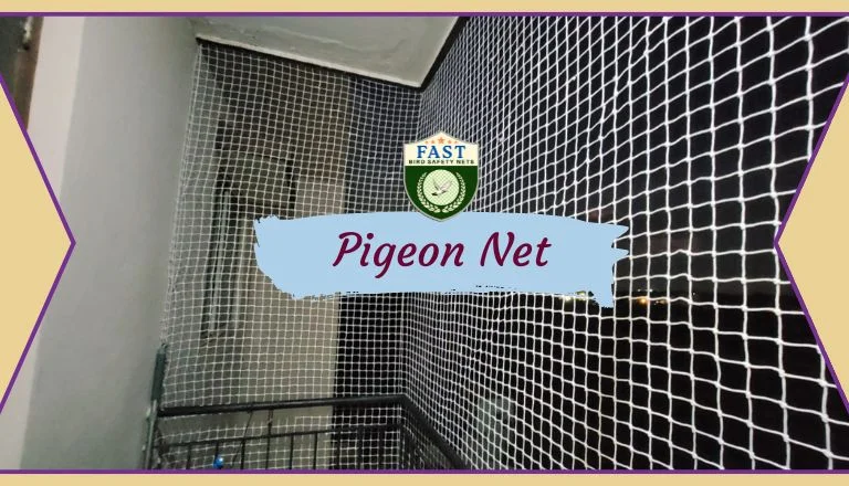 Pigeon Net