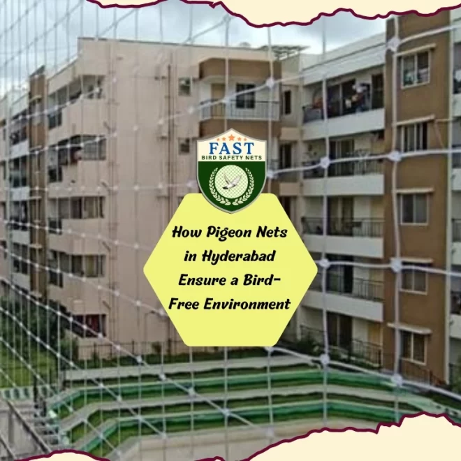 Ensuring a Bird-Free Environment: The Role of Pigeon Nets in Hyderabad