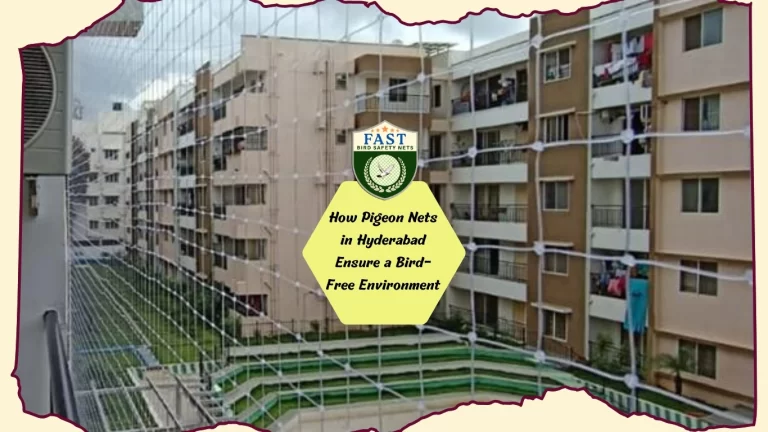 Ensuring a Bird-Free Environment: The Role of Pigeon Nets in Hyderabad