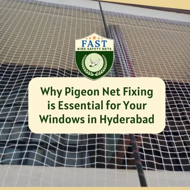Why Pigeon Net Fixing is Essential for Your Windows in Hyderabad