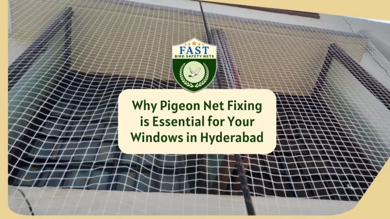 Why Pigeon Net Fixing is Essential for Your Windows in Hyderabad