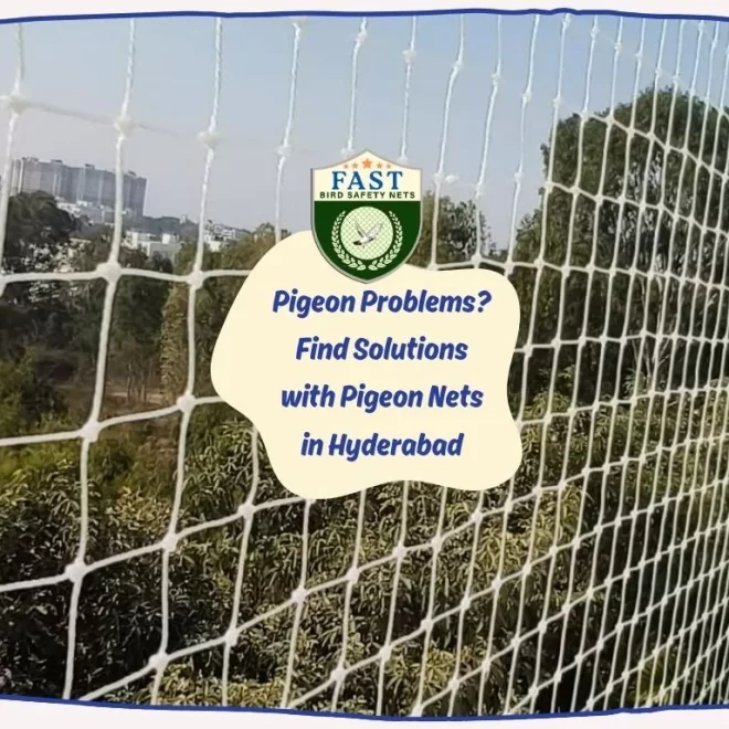 Pigeon Problems? Find Solutions with Pigeon Nets in Hyderabad