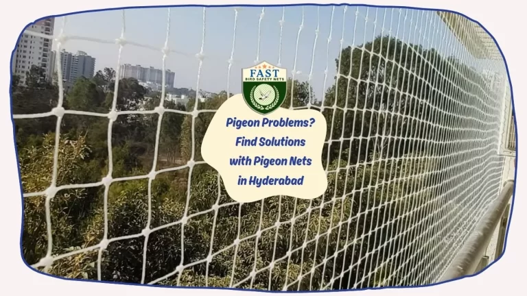 Pigeon Problems? Find Solutions with Pigeon Nets in Hyderabad