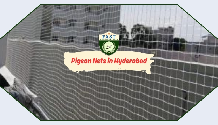 pigeon net fixing in hyderabad