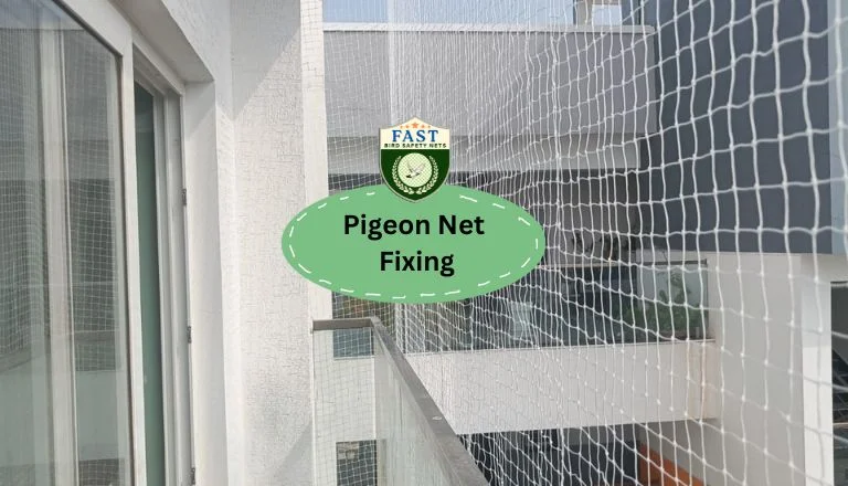 pigeon net fixing