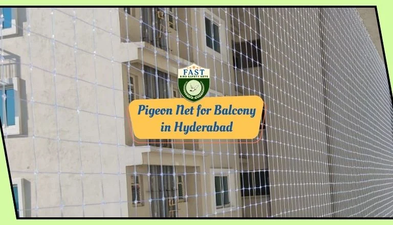 pigeon net for balcony in Hyderabad