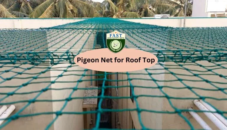 Pigeon Net for Roof Top