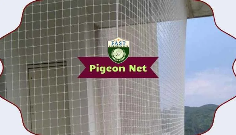 Pigeon Netting