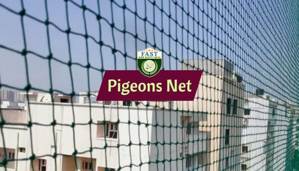 Pigeon Net in Hyderabad