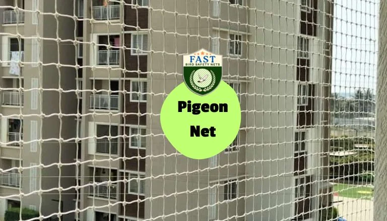 Pigeon Net Installation in Hyderabad