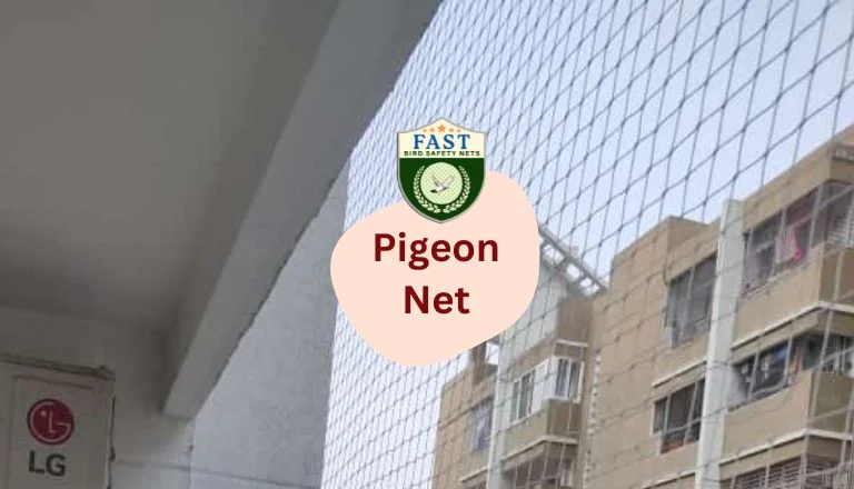 Pigeon Net Installation Near Me