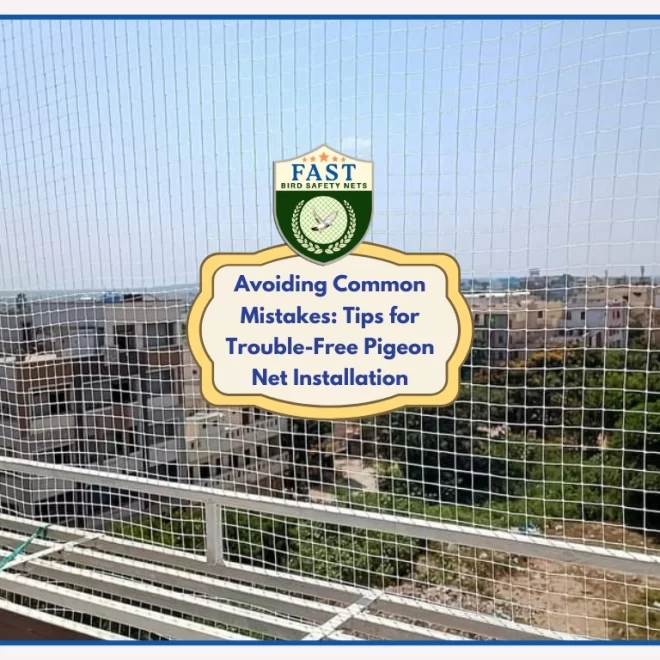 Avoiding Common Mistakes: Tips for Trouble-Free Pigeon Net Installation