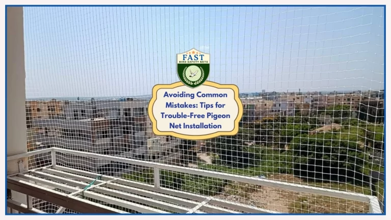 Avoiding Common Mistakes: Tips for Trouble-Free Pigeon Net Installation